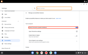 This is the Avatar Image for the ChromeVox Spoken Feedback (Chrome OS) AI Voice and Text to Speech Generator
